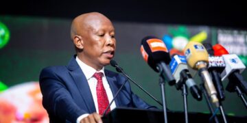 Julius Malema speaks to Nigerian lawyers in Enugu, calling for African unity and cooperation to address migration and economic challenges.