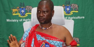 Minister of Agriculture Mandla Tshawuka. File pic