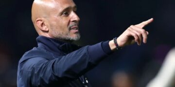 Mamelodi Sundowns head coach Miguel Cardoso.