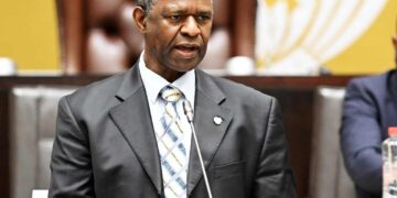 Chairperson of the Portfolio Committee on Health, Dr Sibongiseni Dhlomo. Picture: Parliament of RSA/X