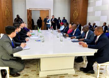 The Ministers of ICT, Savannah Maziya, Commerce,Trade and Industry Manqoba Khumalo, Public Works and Transport Chief Ndhlaluhlaza and Foreign Affairs and International Cooperation, make submissions during the trade talks with their Turkmenistan counterparts.