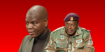 Minister Ronald Lamola and General Rudzani Maphwanya in focus amid Iran visit controversy