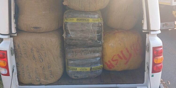 Police discovered 21 bales of dagga, weighing 548 kilograms, hidden in the trunk of a car intercepted on the R40 near Nelspruit.