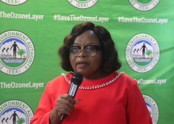 Minister of Tourism & Environmental Affairs Jane Mkhonta Simelane. Hon. Jane Mkhonta-Simelane