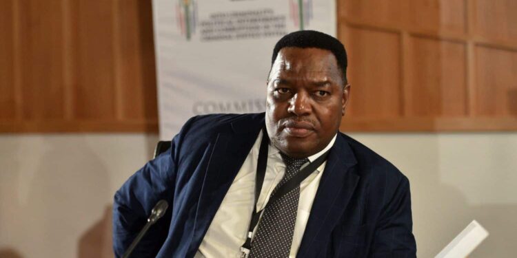 National Police Commissioner Fannie Masemola presents evidence at the Madlanga commission in Pretoria on 22 September 2025. Picture: Nigel Sibanda/The Citizen