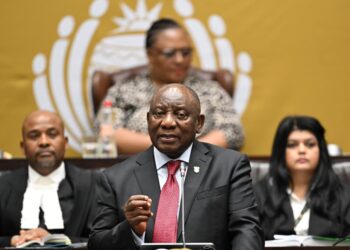 His Excellency President Cyril Ramaphosa