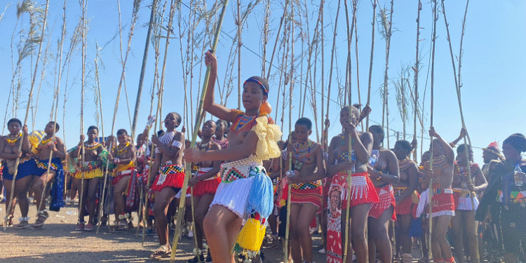 AmaZulu maidens hold up their reeds during a traditional ceremony. Image Credits : Skhangiwe Mthiyane