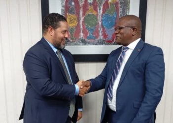 Minister of Commerce, Industry and Trade Manqoba Khumalo shakes hands with U.S. Chargé d’Affaires Marc Weinstock after trade talks. Photo: U.S. Embassy Eswatini