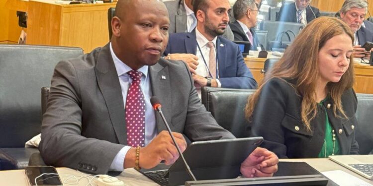 Lesotho’s Minister of Foreign Affairs and International Relations, Lejone Mpotjoana