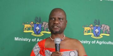 Minister of Agriculture Mandla Tshwawuka. | File pic