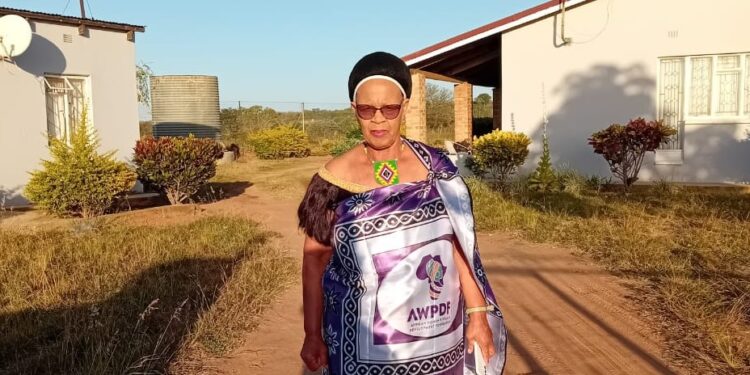 Nomsa Dlamini-Gule Acting Chairperson African Women’s Development and Funding Platform (AWPDF) Eswatini Chapter