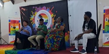 Panelist shares insights during a recent LGBTQ+ event