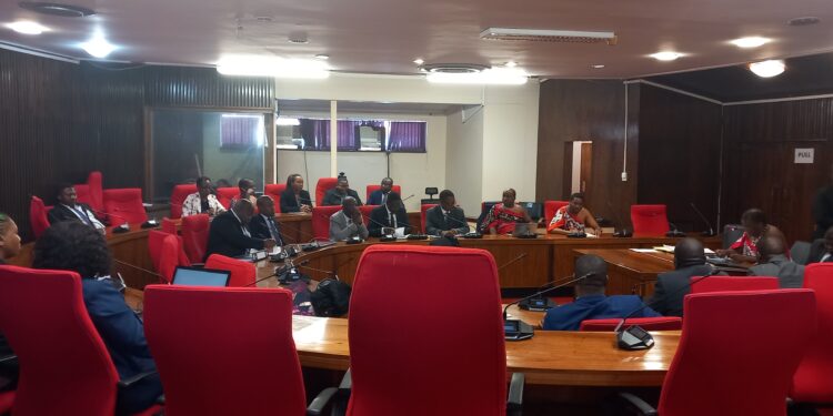 Micro Projects says tender choice saved government E700 000