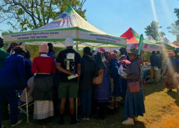 Youth farmers participate in an ESNAU activation event in July 2025, engaging in agricultural training and support programs.