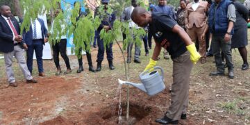 Minister Apollo Maphalala plants a tree at the launch of the Inter-Ministerial Pocket Park and Riverine Ecosystem Restoration Project in Mbabane, marking the start of the city’s green transformation.