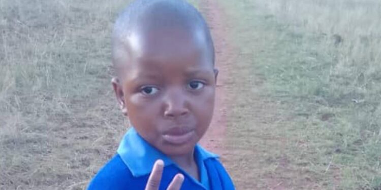 Tragic loss: 8-year-old girl shot while returning home from school in Shiselweni
