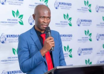 NAMBoard Chief Executive Officer Bhekizwe Maziya. |File Pic