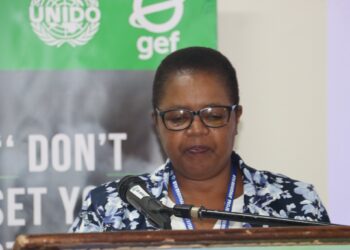 Acting Principal Secretary in the Ministry of Housing and Urban Development, Constance Vilakati