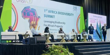 Panelists at the 1st Africa Biodiversity Summit in Gaborone discussing strategies for ecosystem restoration and sustainable conservation. Picture: Courtesy pic