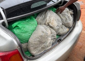 Dagga seized by Whiteriver Flying Squad hidden in the trunk of the silver Toyota Corolla. Picture: SAPS Mpumalanga