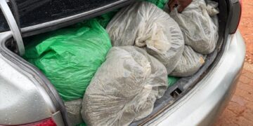 Dagga seized by Whiteriver Flying Squad hidden in the trunk of the silver Toyota Corolla. Picture: SAPS Mpumalanga