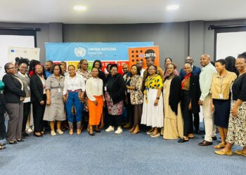 Delegates at the Multi-Sectoral Technical Team on Violence meeting at United Nations House, photo by Deputy Prime Minister’s Office