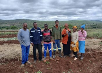 Community members and trainers from Thrive for Good SA pose for a group photo during a Taiwan Africa Vegetable Initiative training session