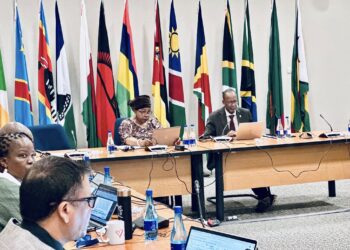 SADC Executive Secretary Elias Magosi joins European Union Delegation Head Petra Pereyra and South Africa’s Deputy Director General for Africa Ambassador Tebogo Seokolo during the virtual SADC-ICP Dialogue Platform