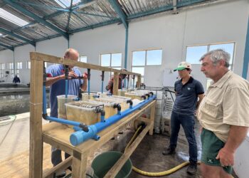 Eswatini and SAIAB officials with Taiwanese partners at the aquaculture centre during the introduction of the Orange Fringed Largemouth Bream.