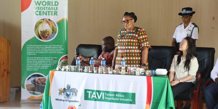Deputy Prime Minister, Hon. Thulisile Dladla, addressing the elderly community members at the Marlkerns Research Station. Photo by TAVI