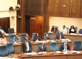 Acting Minister of ICT, S’khumbuzo Dlamini, addresses Parliament on the introduction of the Critical Infrastructure Protection Bill. Photo by Ministry of ICT