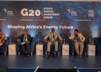 Panelists during the clean cooking discussion at the G20 Africa Energy Investment Forum in Johannesburg. Photo by Africa Energy Chamber.
