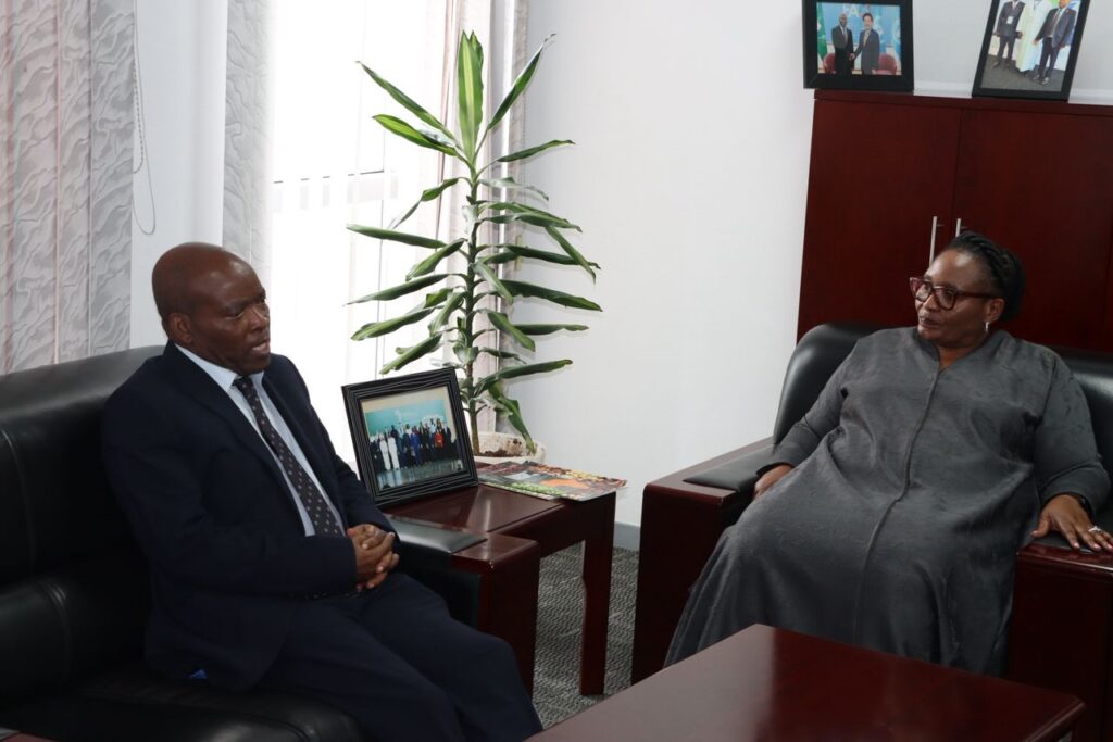 Deputy Prime Minister Thulisile Dladla and African Union Commissioner Moses Vilakati engage in strategic discussions during their meeting in Ethiopia. Photo DPMO