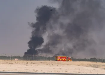 The Indian fighter jet reportedly crashed after performing a low roll maneuverImage: Jens Krick/Flashpic/picture alliance