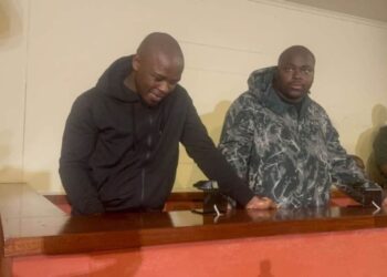 Siyabonga Ndimande and Malusi Ndimande were arrested by the eSwatini police and Interpol on 24 February 2025. Picture: X/@Am_Blujay
