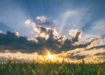 The sunshine returns
