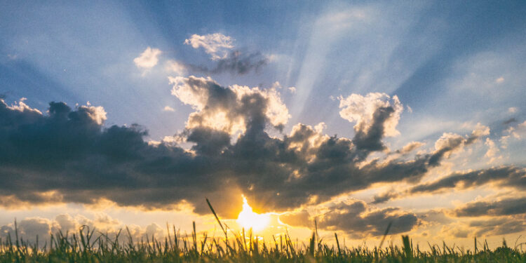 The sunshine returns