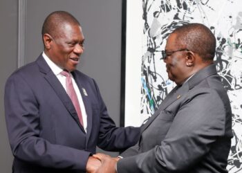 Deputy President Paul Mashatile meets Zimbabwe’s First Vice-President Dr. Constantino Chiwenga in Sandton.