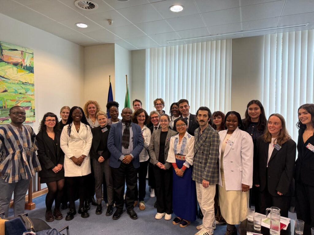 Busiswa Noyise Dlamini with fellow youth delegates from around the world at the EU Youth, Peace and Security Conference in Brussels.