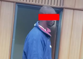 The 24-year-old accused in the dock during his court appearance.