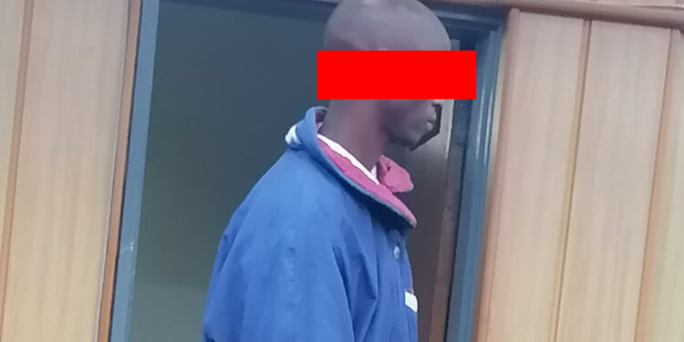 The 24-year-old accused in the dock during his court appearance.