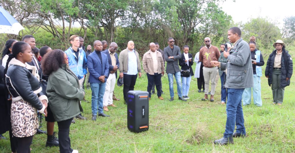 Stakeholders gathered at the Lusushwana River to see progress made in removing alien invasive plants.
UNDP