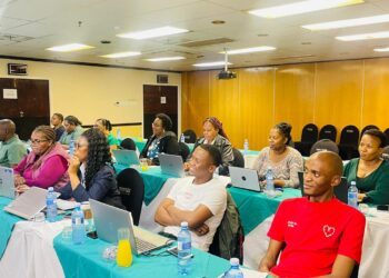 Delegates engage in discussions during the Gender-Responsive Budgeting workshop at Piggs Peak Hotel,