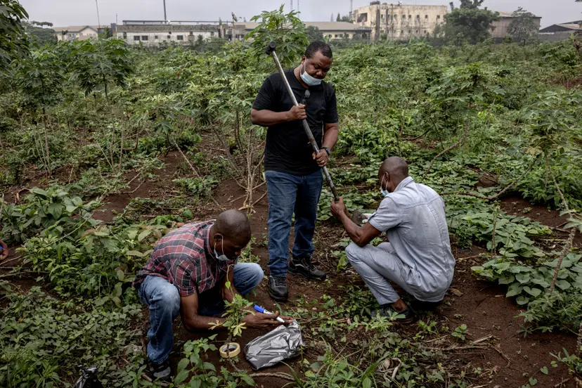 Gathering soil samples near True Metals. Finbarr O'Reilly for The New York Times