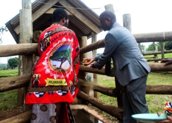 Minister of Agriculture Mandla Tshawuka officially opening the dip tank. (Pics, Eswatini Govt)