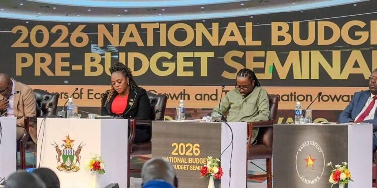 Zimbabwe’s ICT Minister MP Chikomba West addresses the Pre-Budget Conference on decentralised technology parks and digital infrastructure