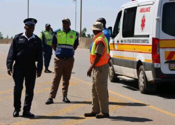 REPS in collaboration with the Cross-Border Road Transport Agency of South Africa during one of the operations.