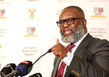 Mzamo Buthelezi, Minister of Public Service and Administration of South Africa