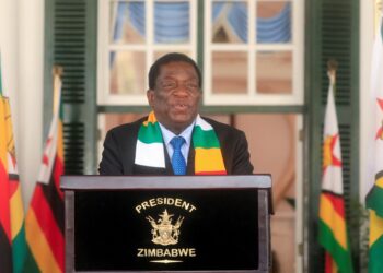 Emmerson Mnangagwa President of Zimbabwe