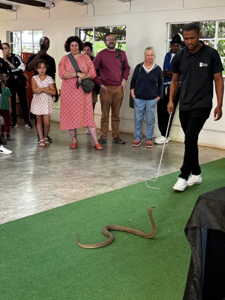 Eswatini Antivenom Foundation volunteers educate the public on local snakes and first aid measures at Ezulwini Farmers Market. Photo Eswatini Antivenom Foundation.